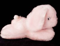 Eden Bunny Rabbit Pink Plush Rattle Stuffed Animal Lovey Toy